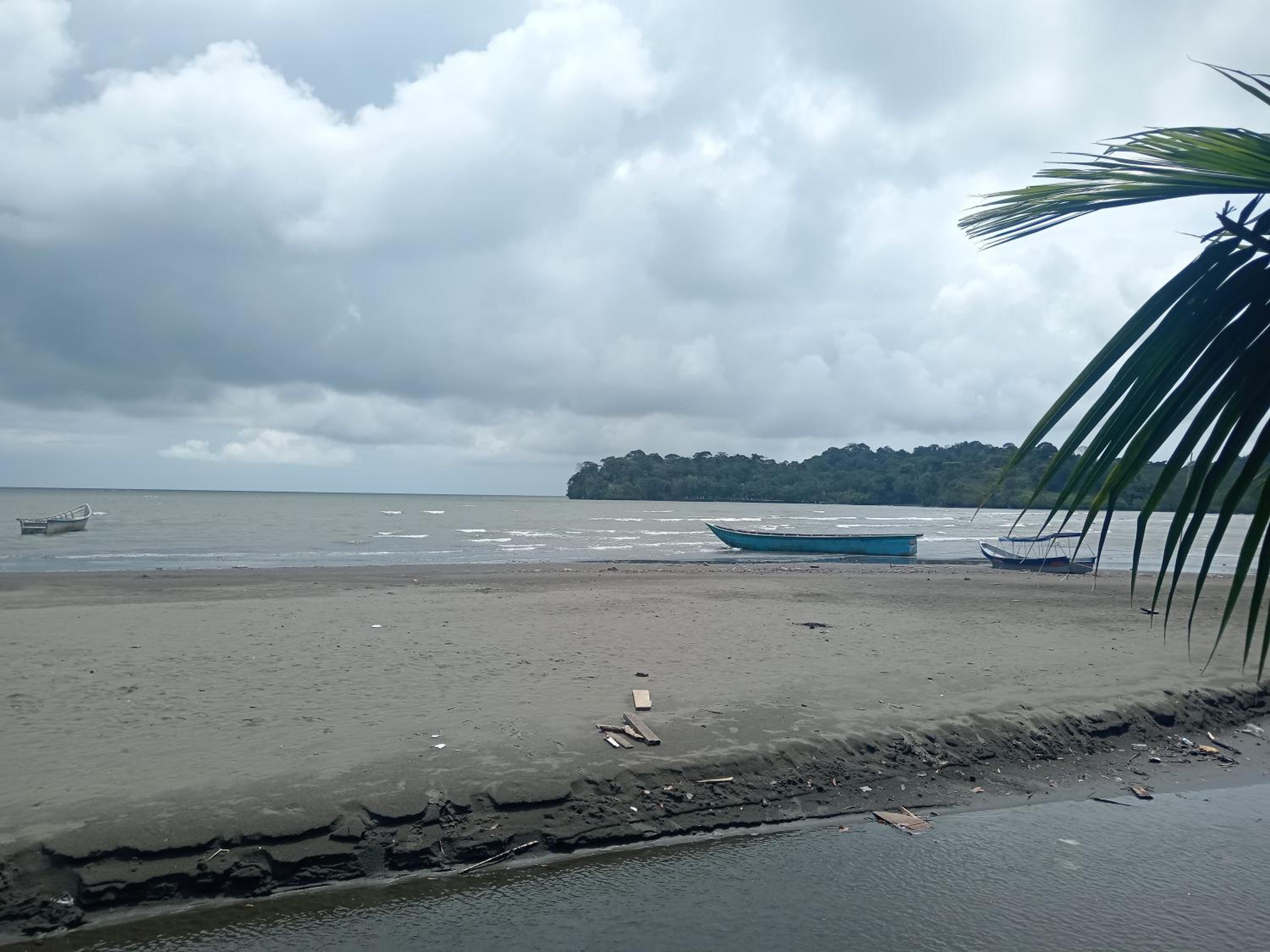 Los cocos Hostal