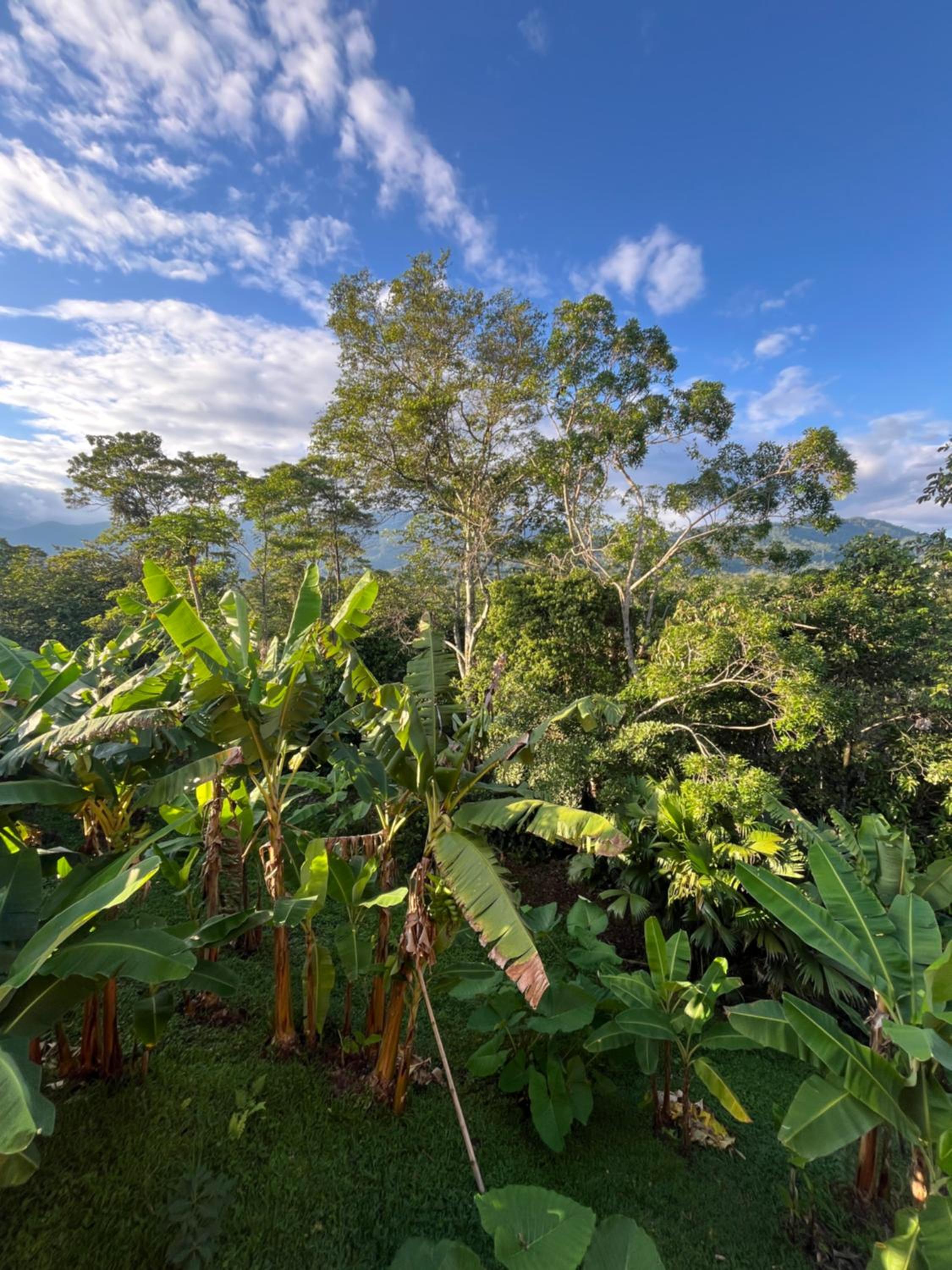 El Ensueño Ecohostal & Glamping