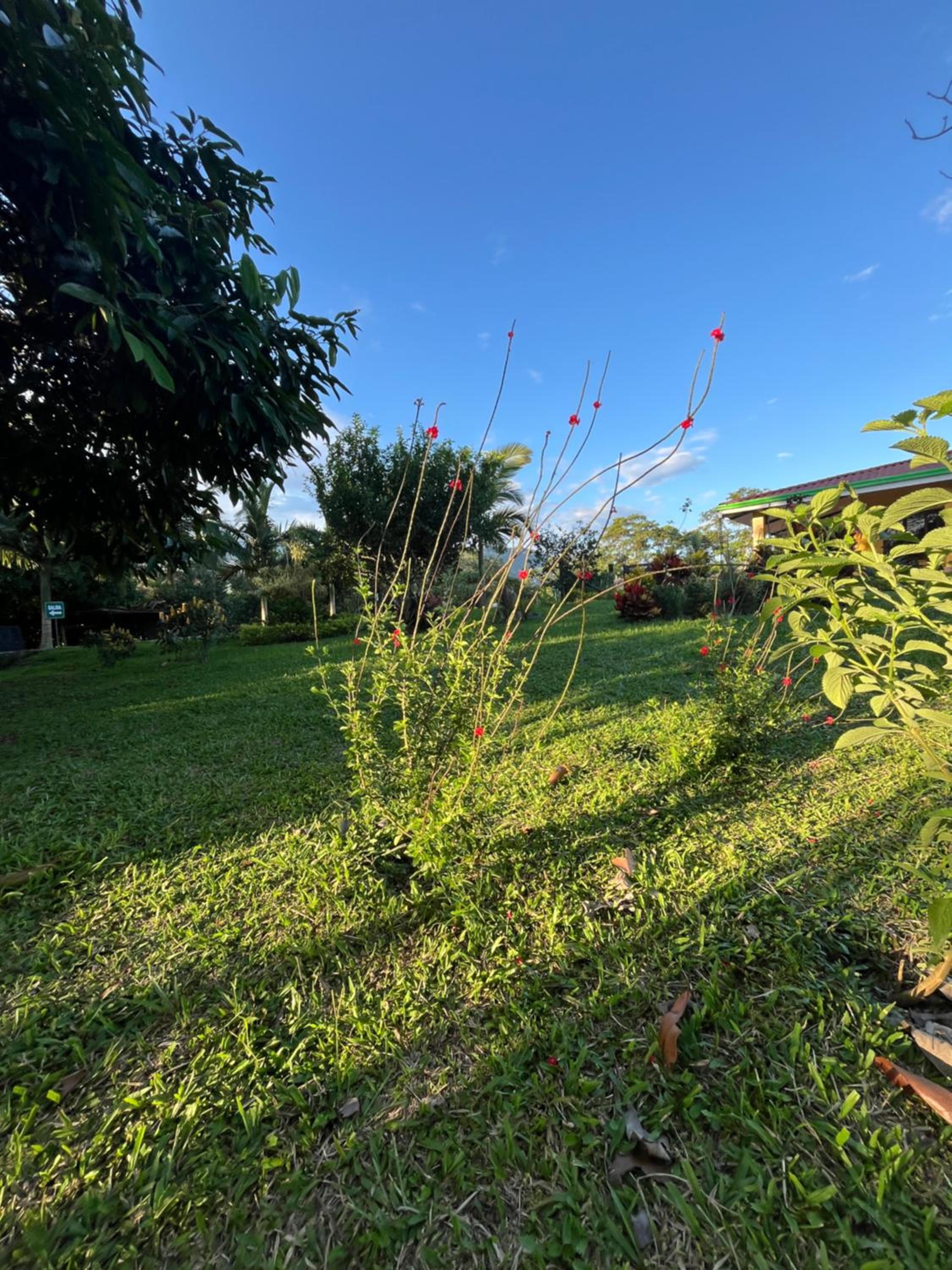 El Ensueño Ecohostal & Glamping
