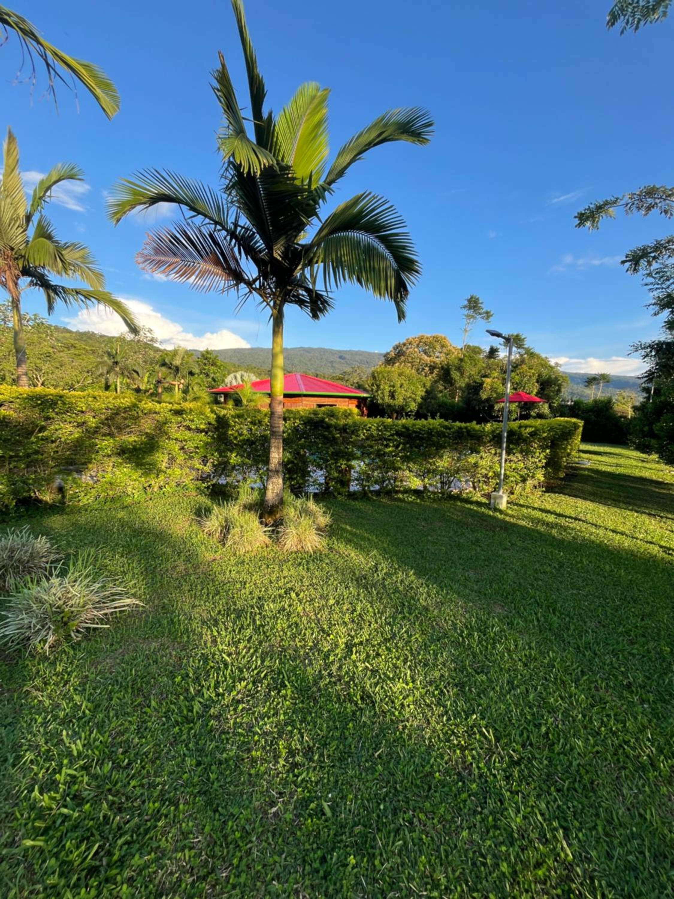 El Ensueño Ecohostal & Glamping