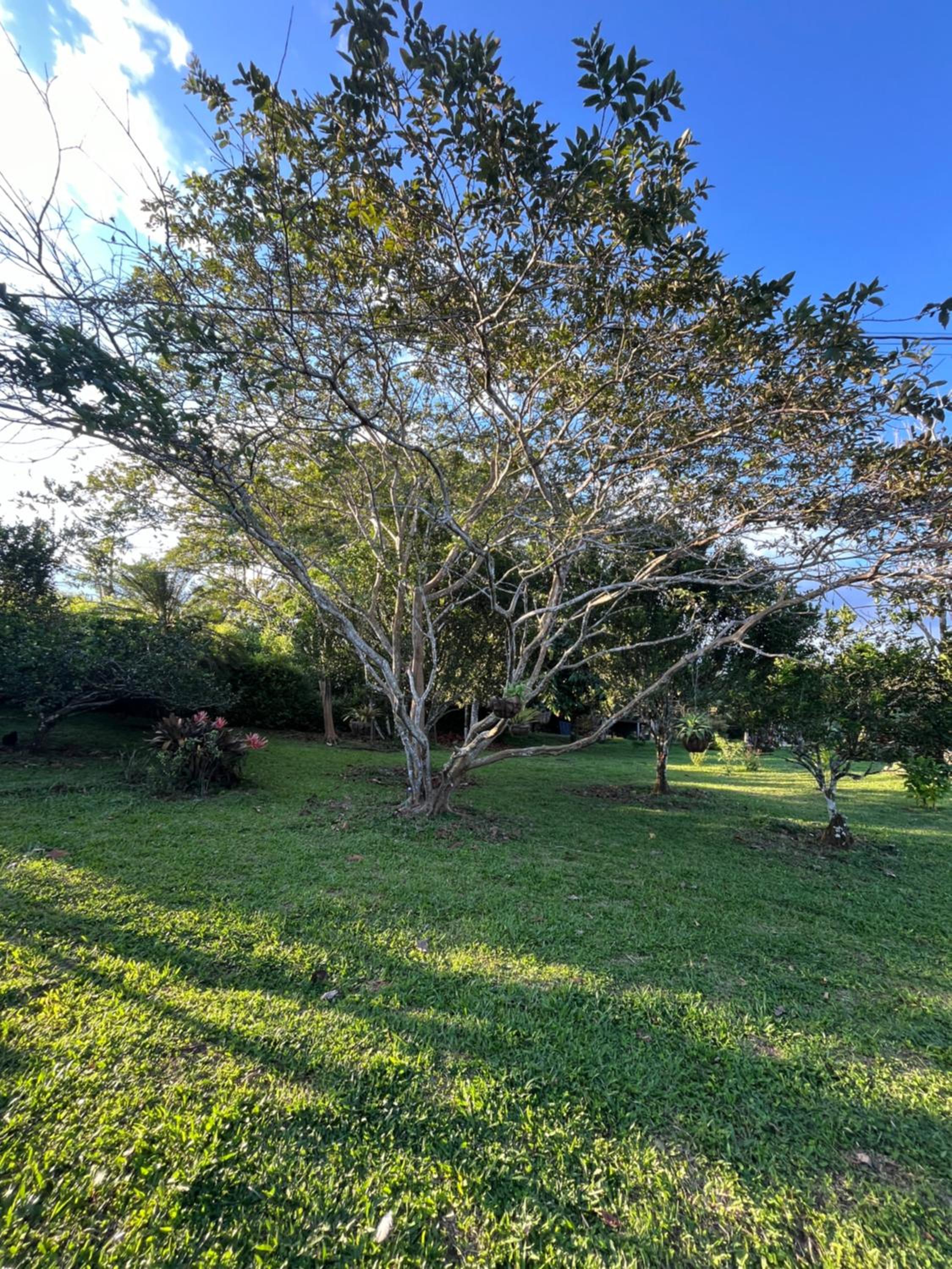 El Ensueño Ecohostal & Glamping