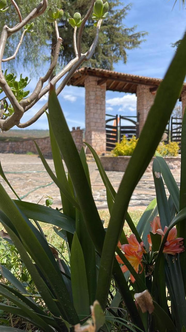 El Campirano Restaurante & Hotel
