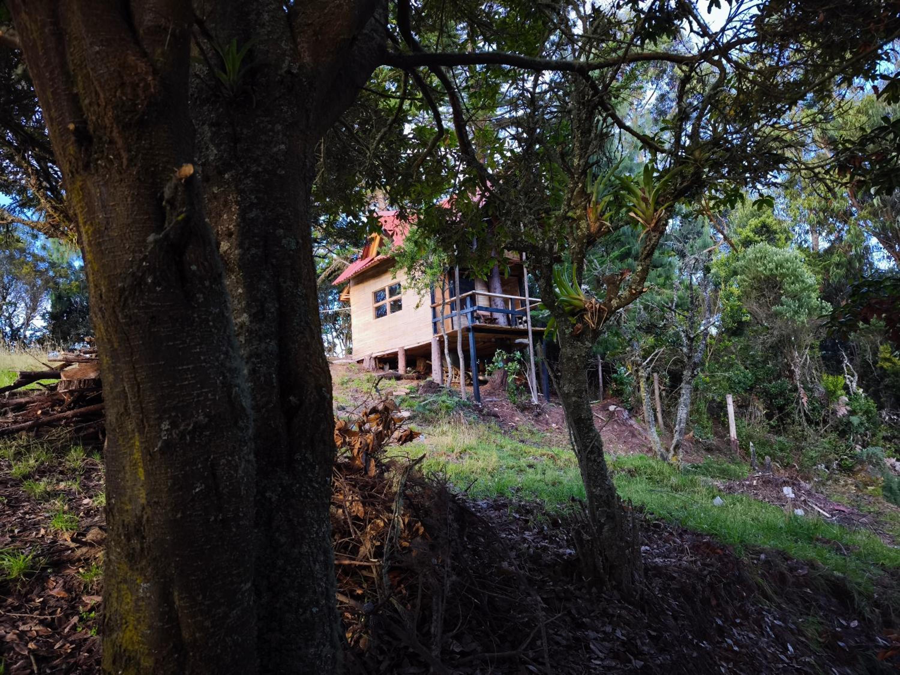 Cabaña sesquile del arbol