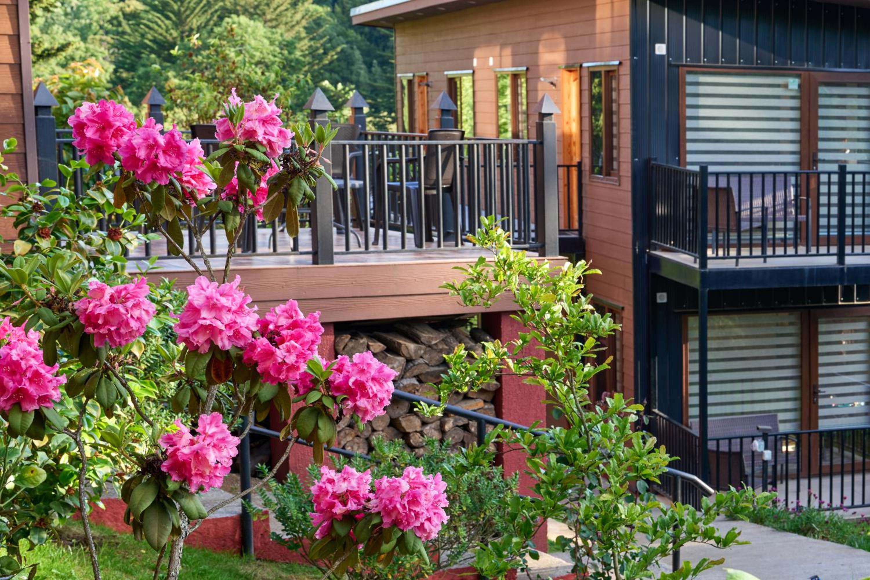 Mirabosque aparment Ejecutivos 8