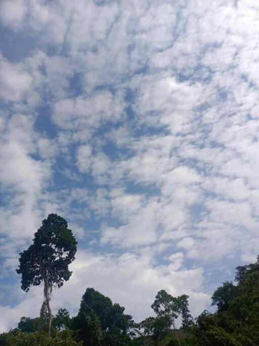 Finca de descanso y relajacion cerca de Tocaima