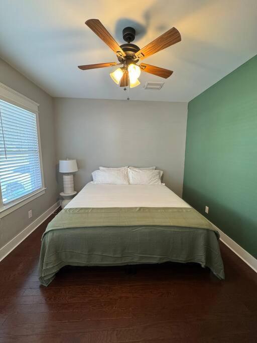 Charming Bungalow in Tampa view 5