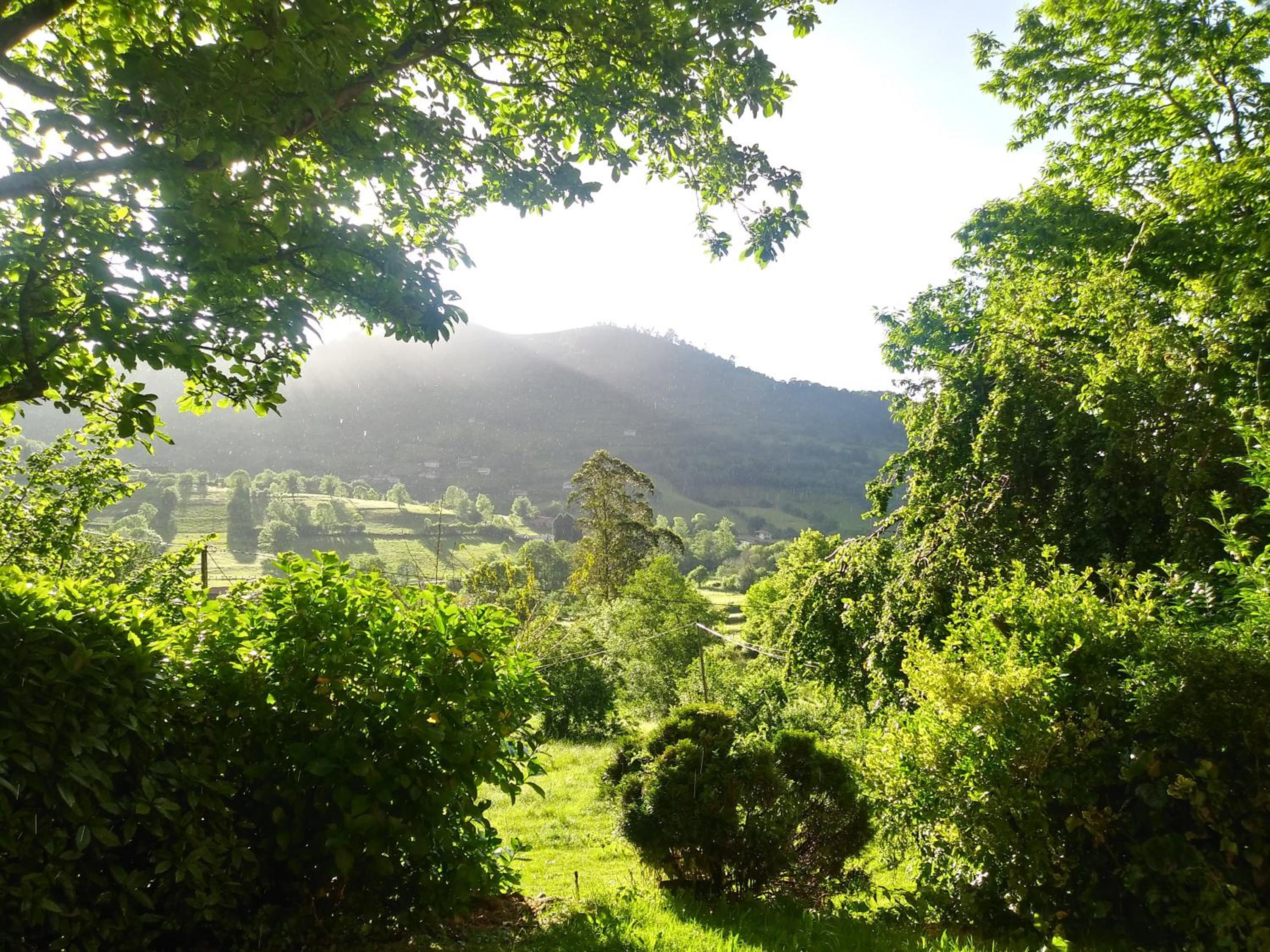 Casa en el Verde Valle view 5
