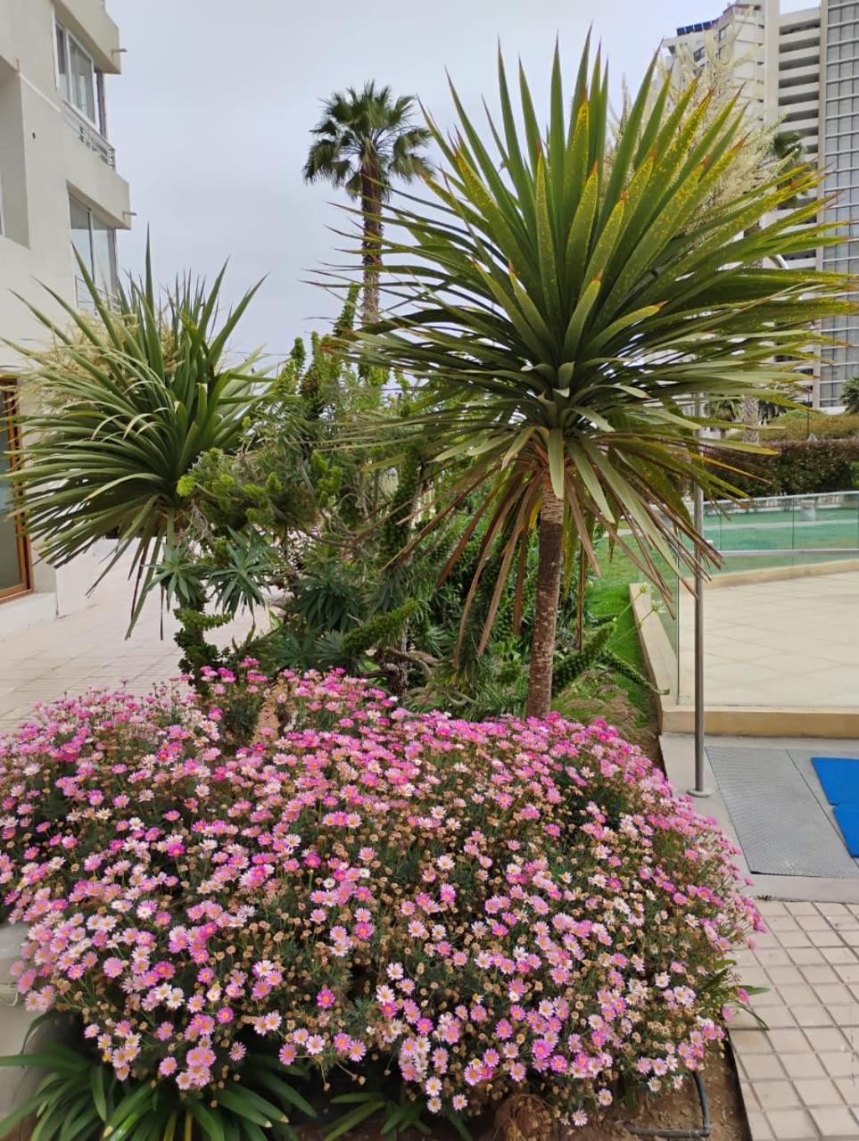 Marina 1 piso 23