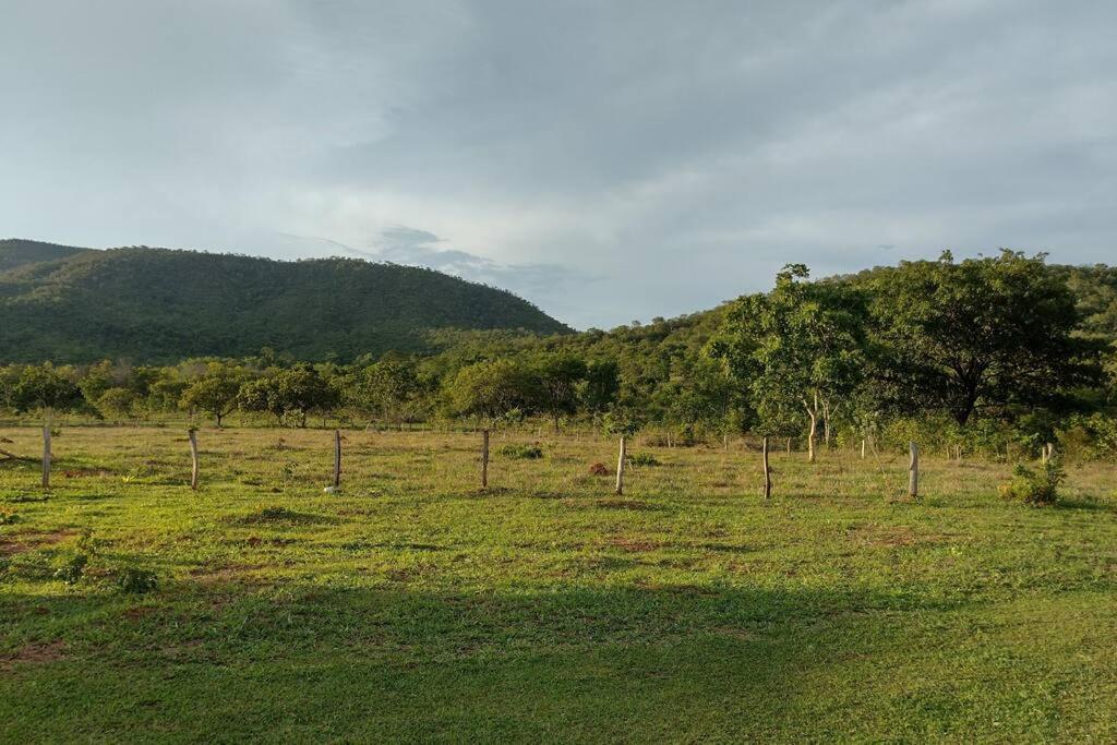 Casa Ypê