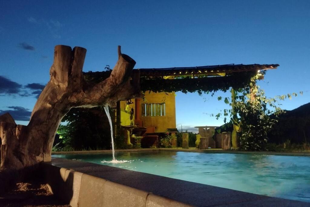 Casa Ypê