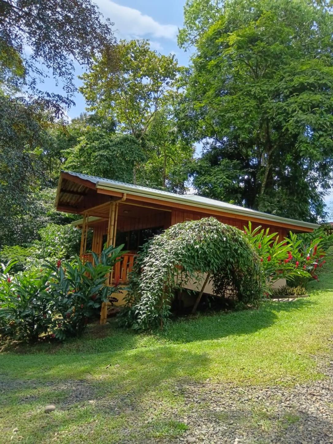Gambas Lodge