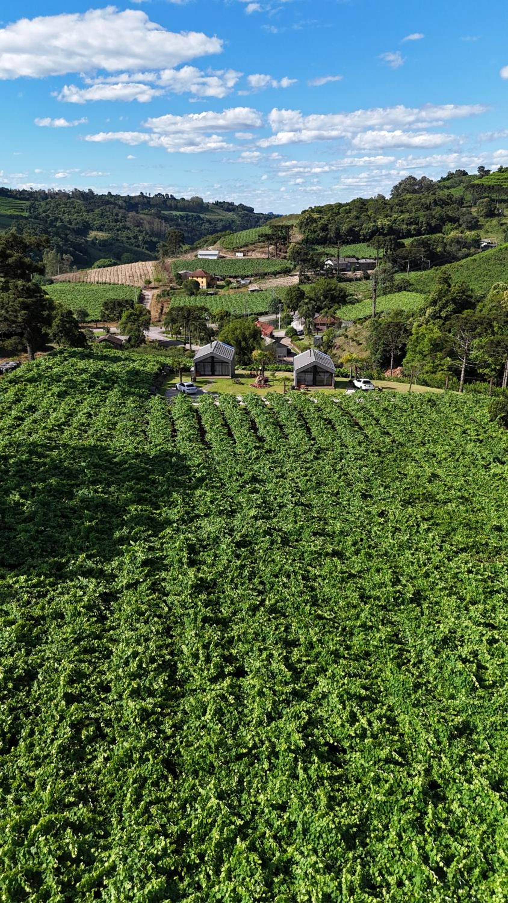 CABANAS LE VIGNE