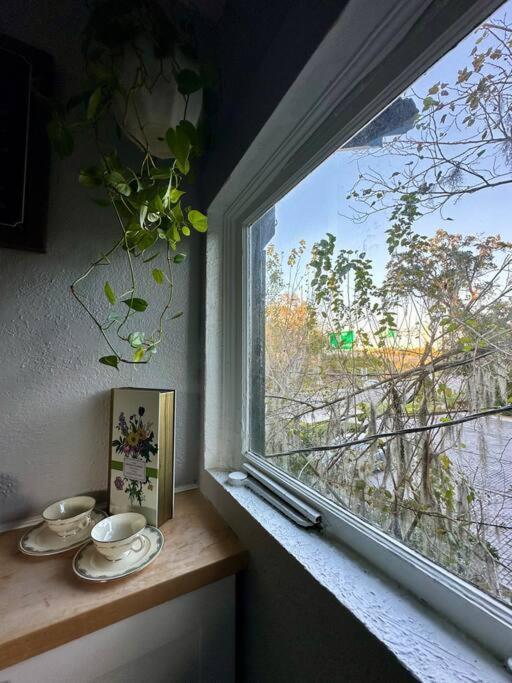 Historic orlando Casita Joy, DT, Lake Eola, Delaney park, 2 bedrooms 1 bathroom Unit B