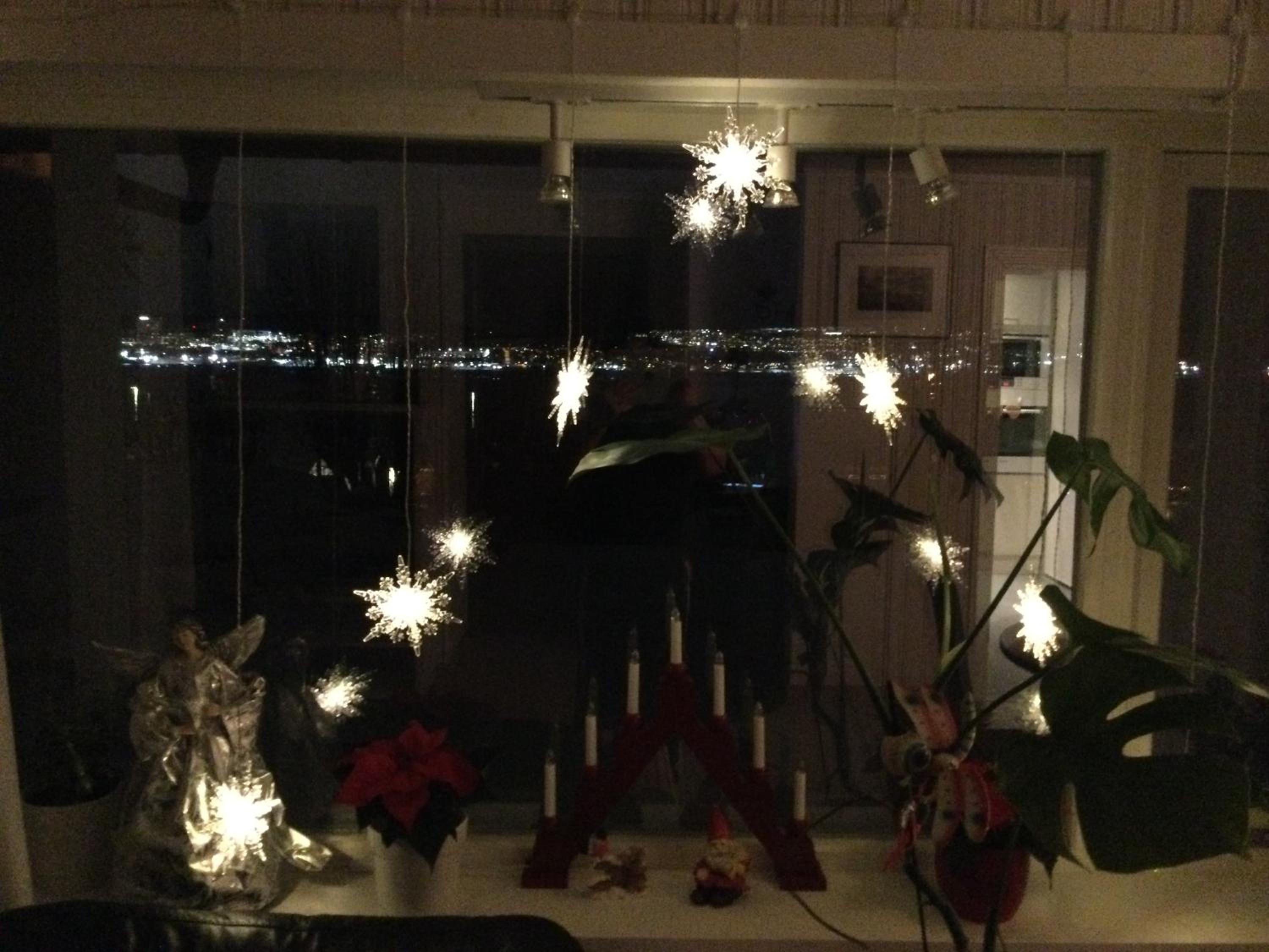 Photo 7