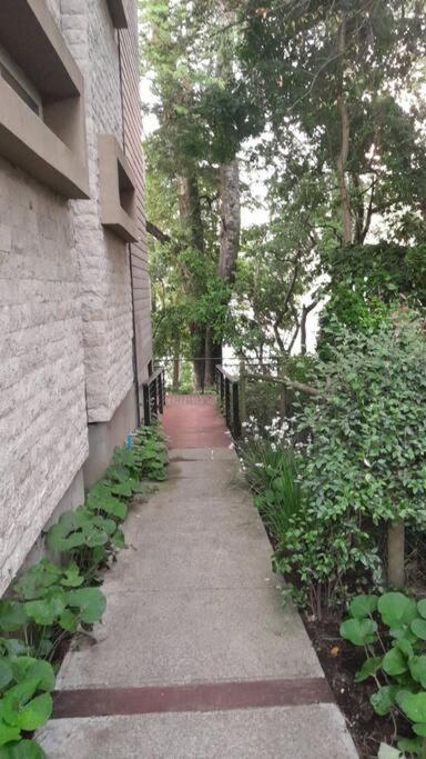 Alta Vista Pucon Centro II