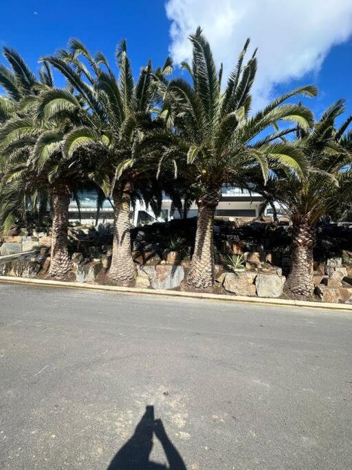 Oceanfront Luxury, Two Complete 5 star Homes in One Stunning Esplanade Escape
