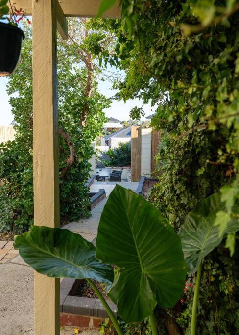 Quinns Beach Mansion Apartment 2