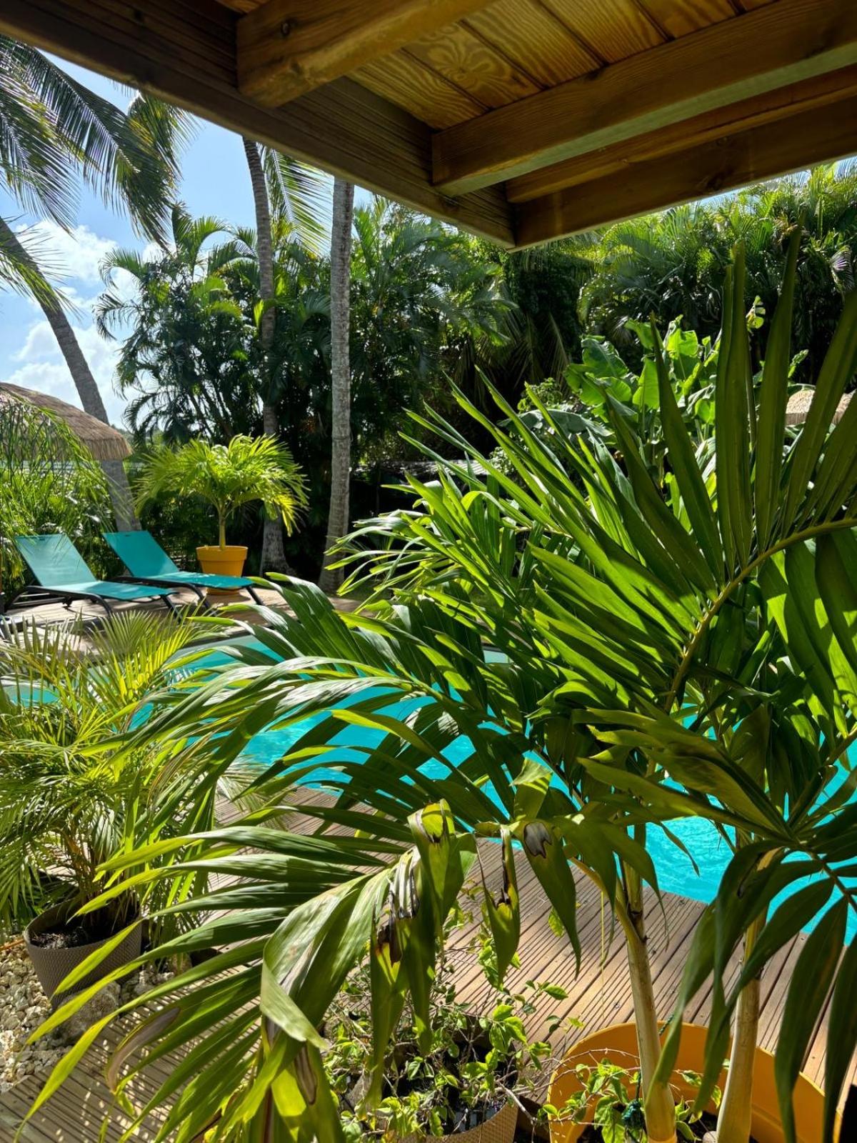 Photo 55
