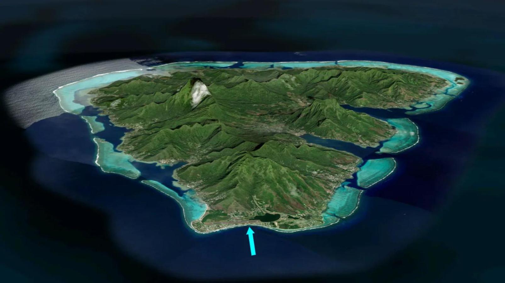 Fare Mama Fenua plage baleines Moorea Temae