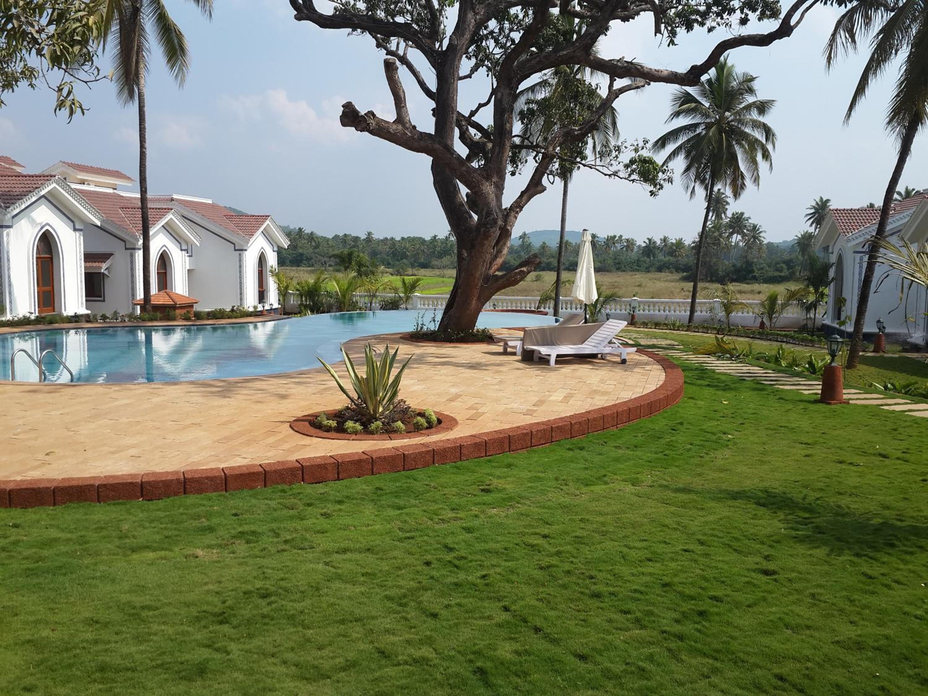 Studio and One bedroom Apartment in Riviera Sapphire, Siolim view 5