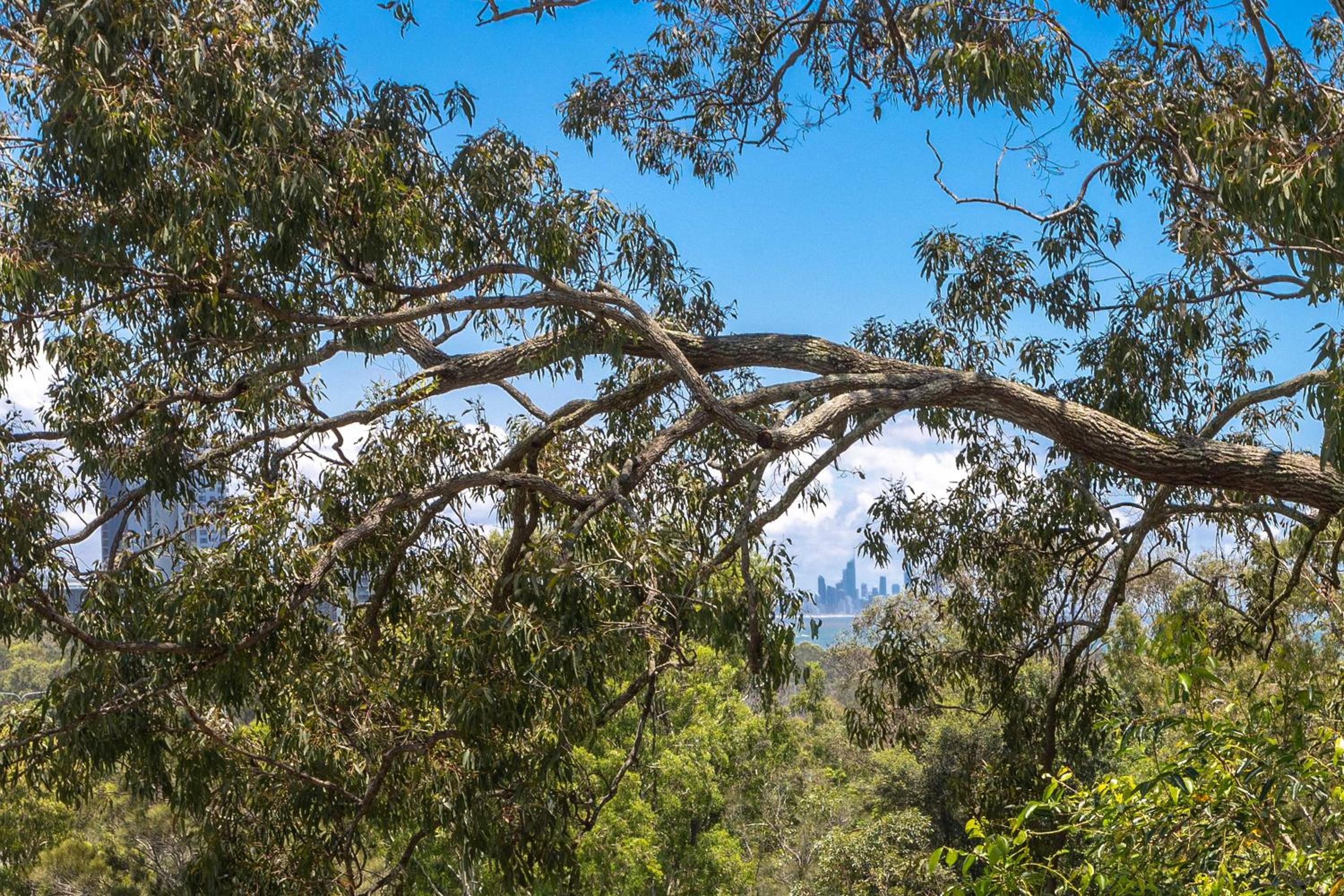 Currumbin Estuary Escape, 2 Bedroom Water Views