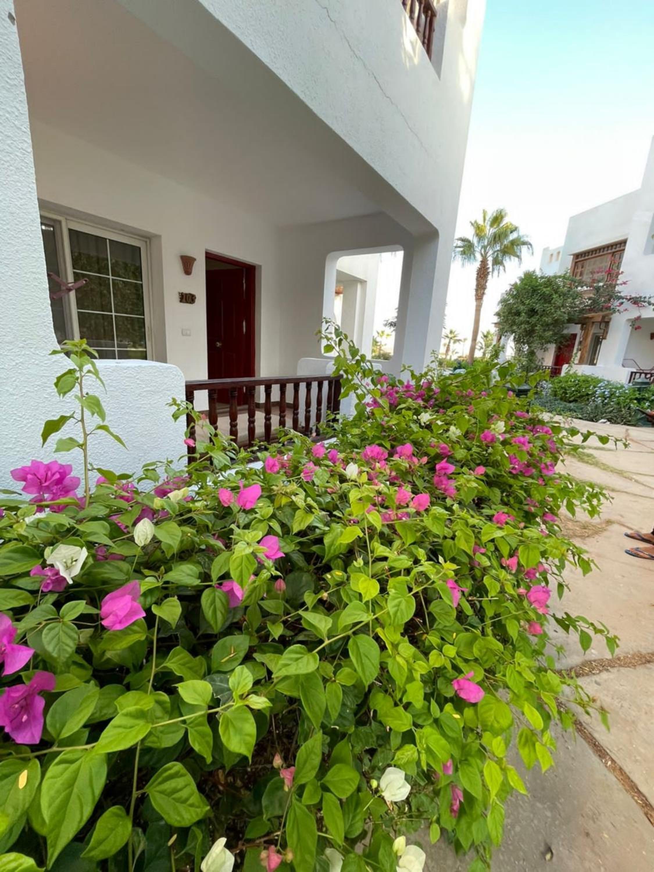 Delta Sharm Resort