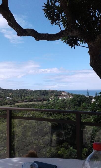 Glass House Haven view 3