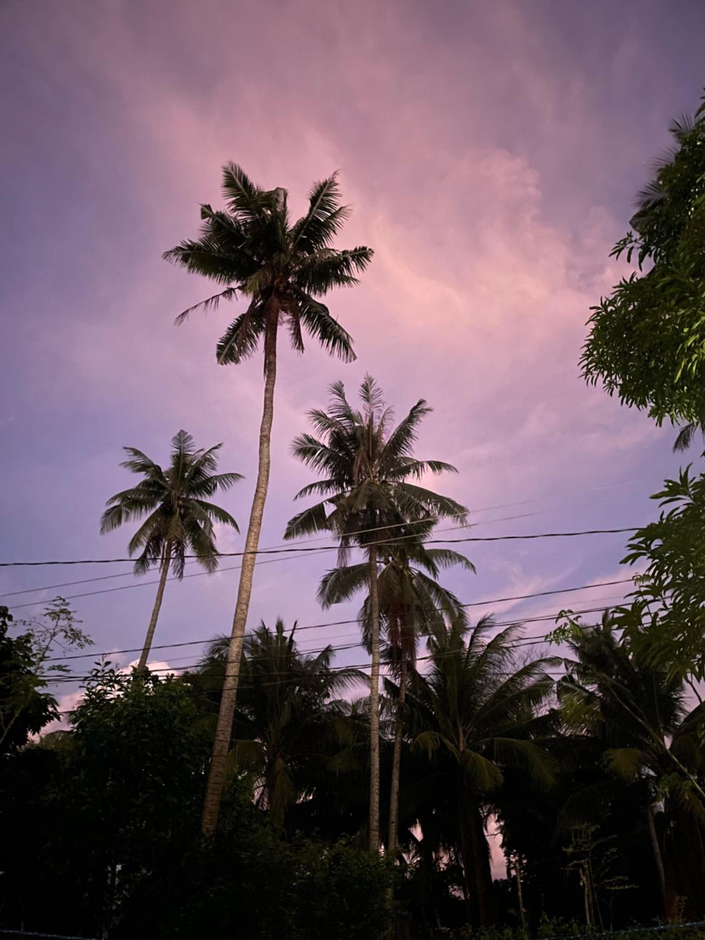 Camp Talisay view 4