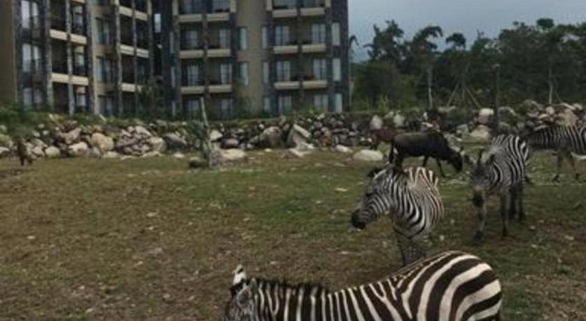 Baobab Safari Resort