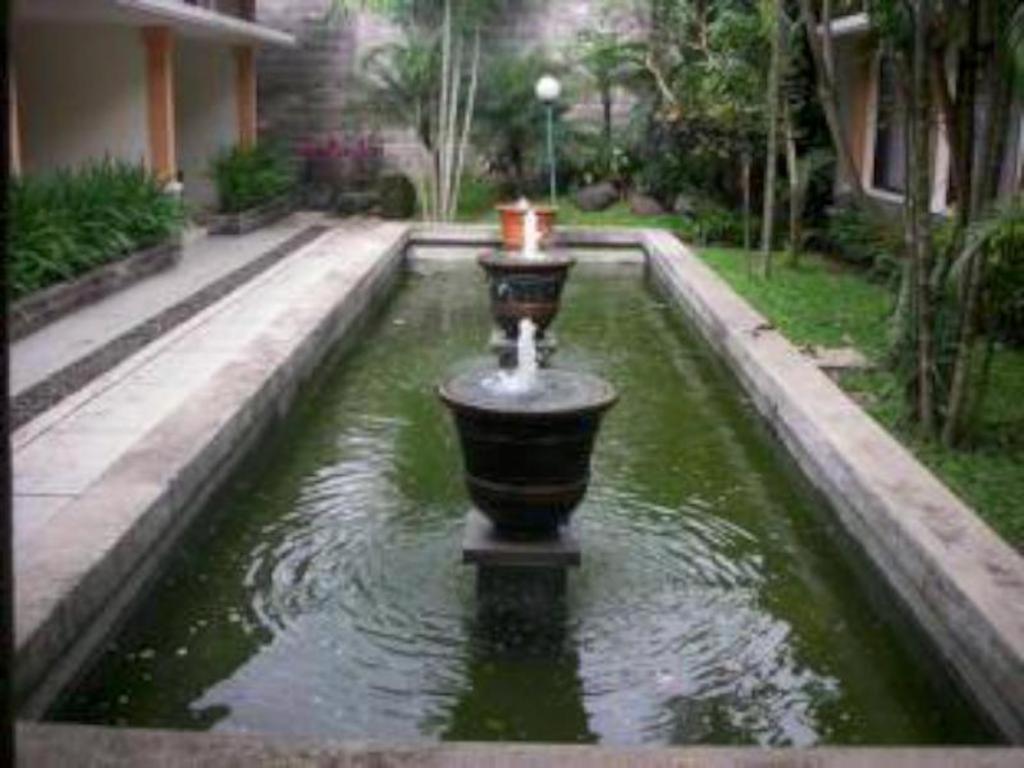 Ijen View Hotel & Resort view 3