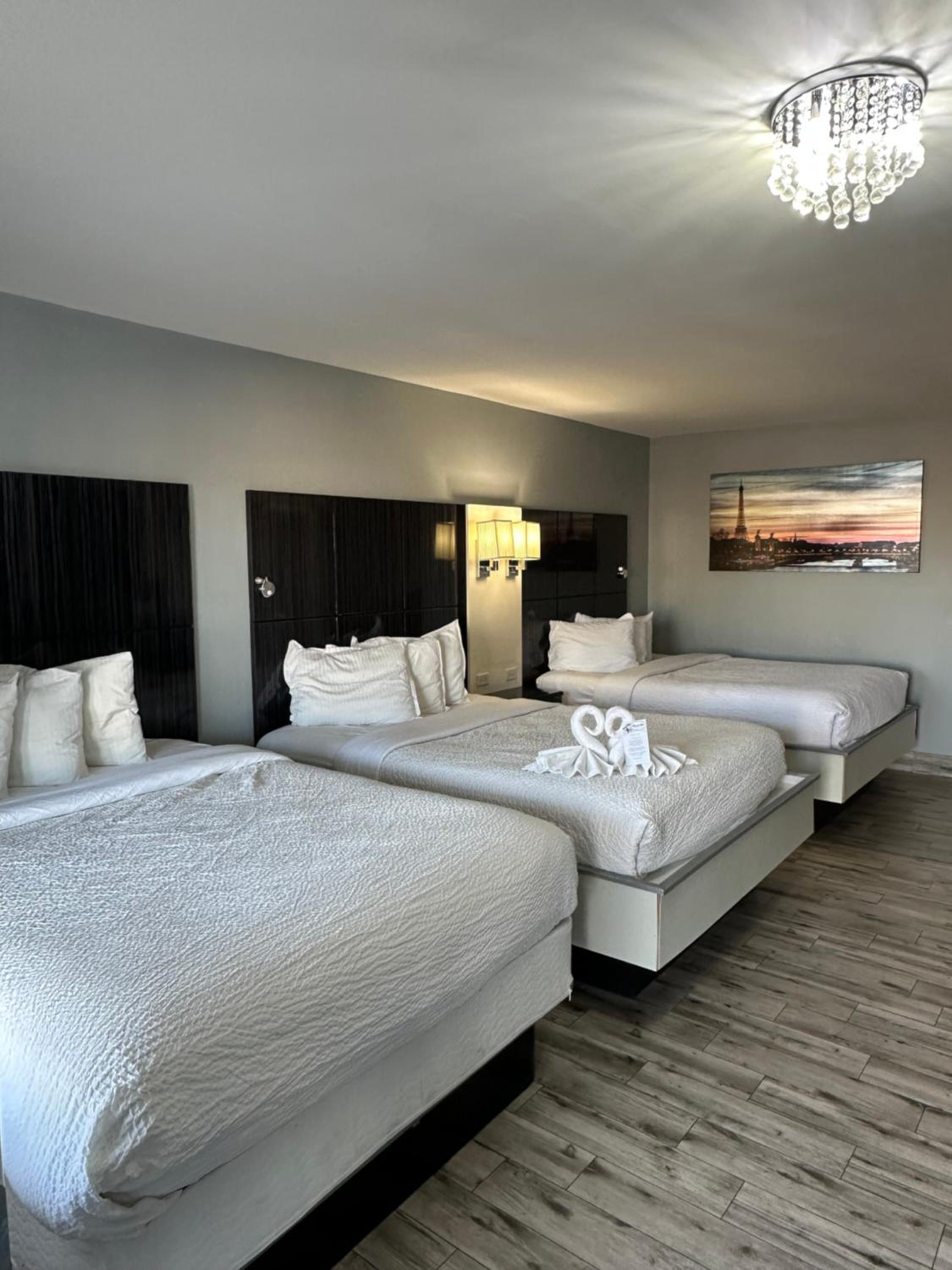 Marion Motor Lodge, 사진 9