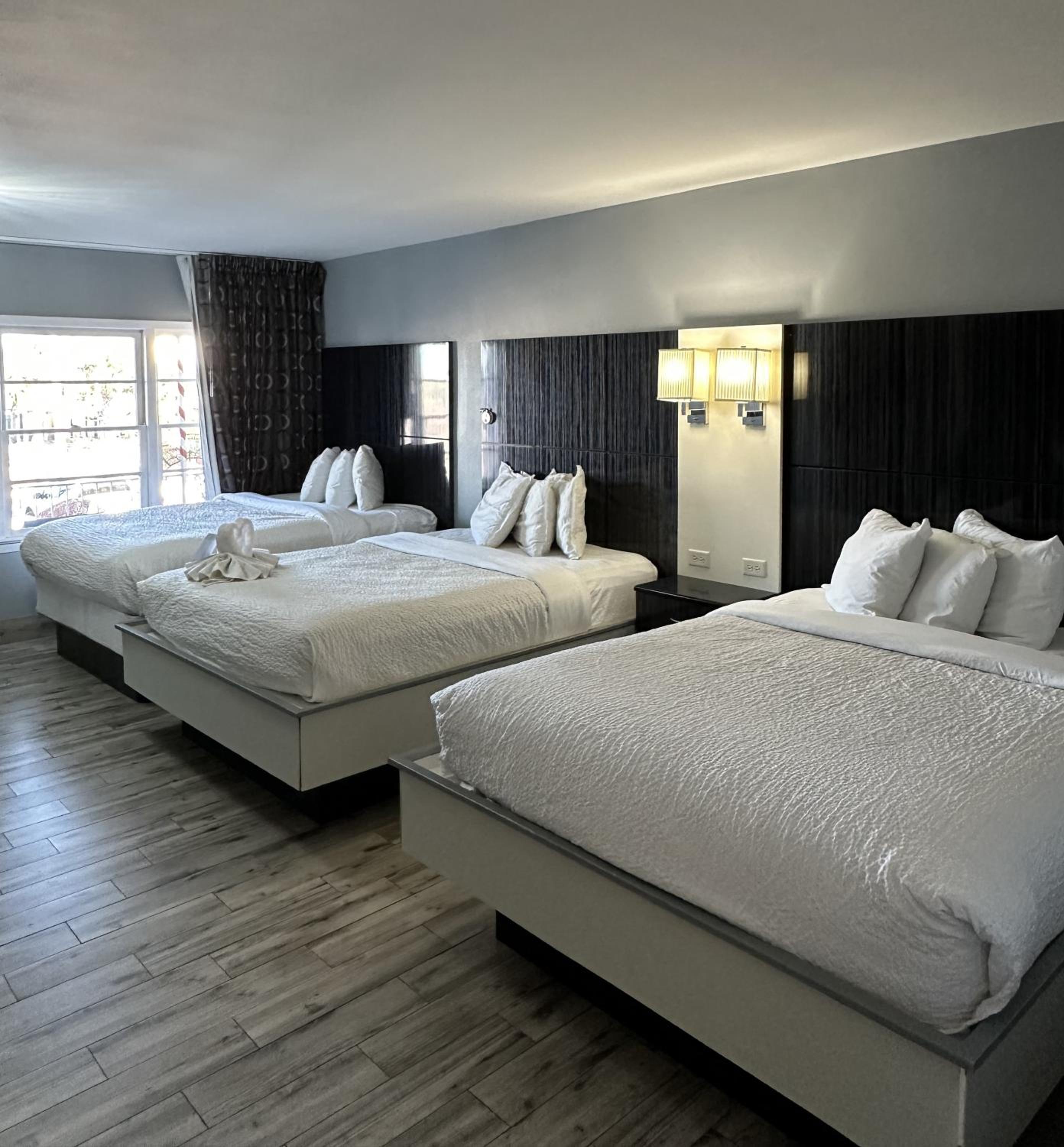Marion Motor Lodge, 사진 7