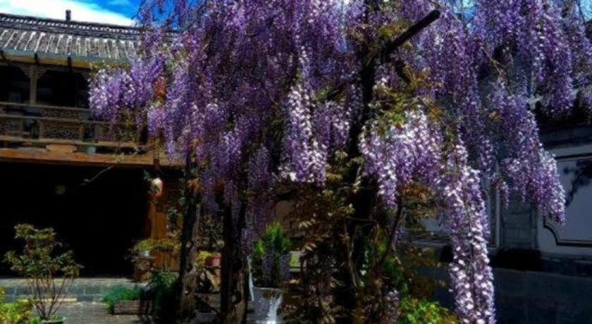 Lijiang Baisha Holiday Resort