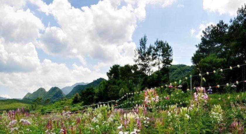 Shaoguan Palace International Resorts