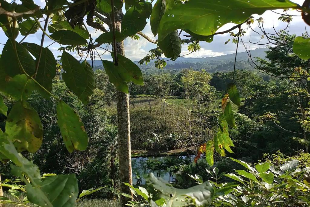 Natural Paradise Private Cabin - Sol & Verde