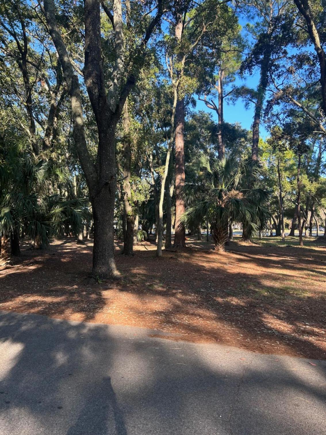 Playing Hookie LLC view 5