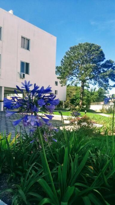 Apartamento 2 quartos na Praia em Florianópolis