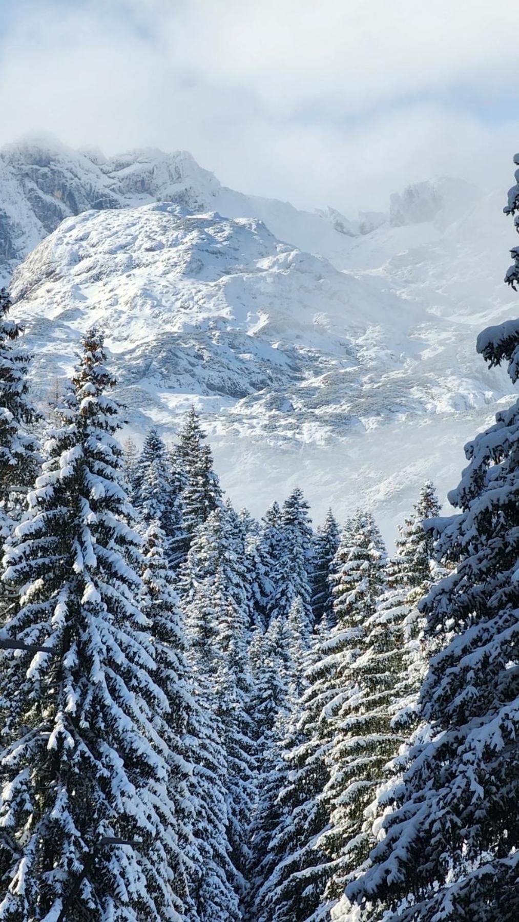 Cozy lux mountain apartment view 3