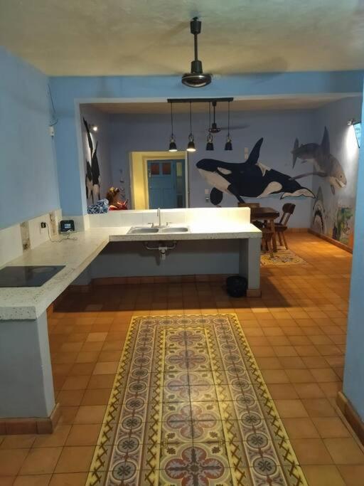 kitchen