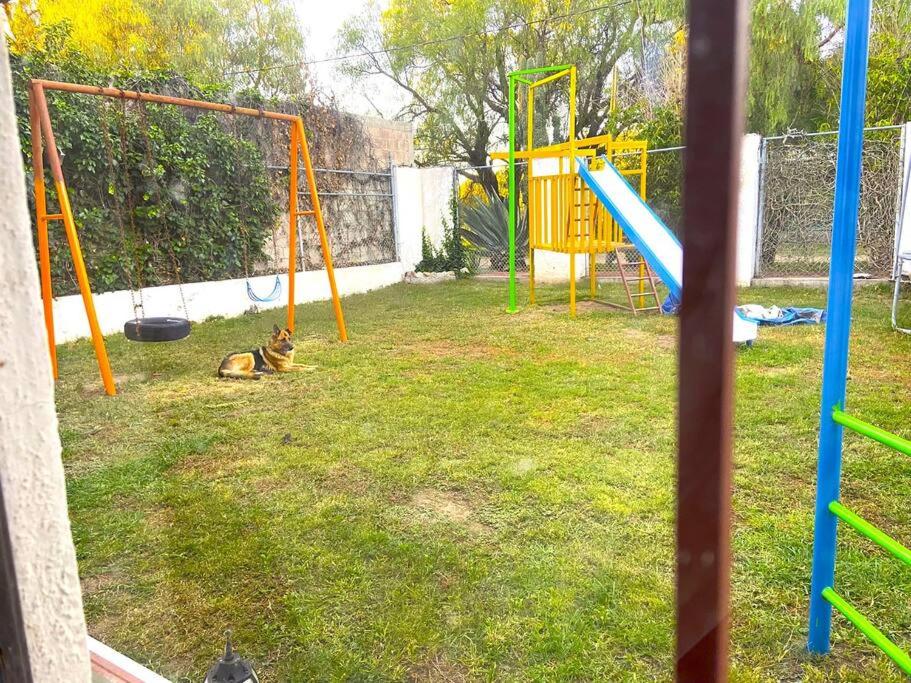 Photo 22
