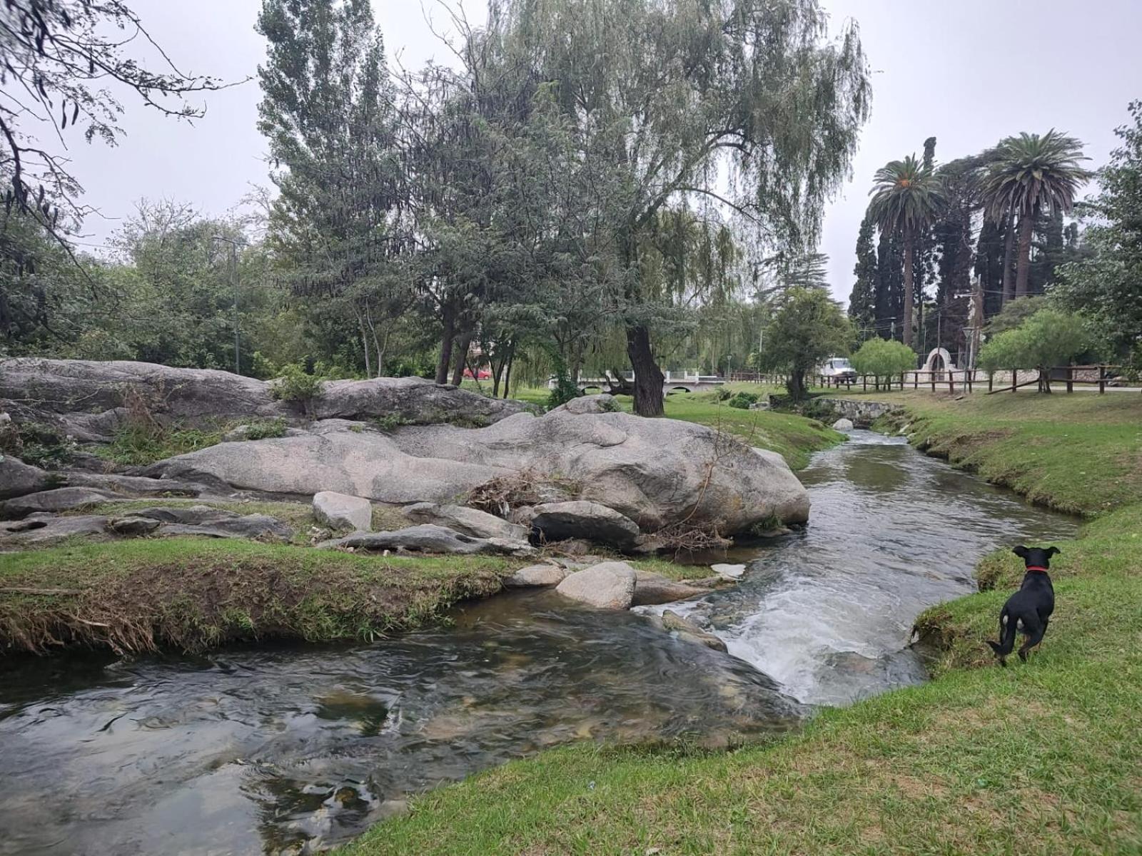 Costanera Departamentos Alta Gracia