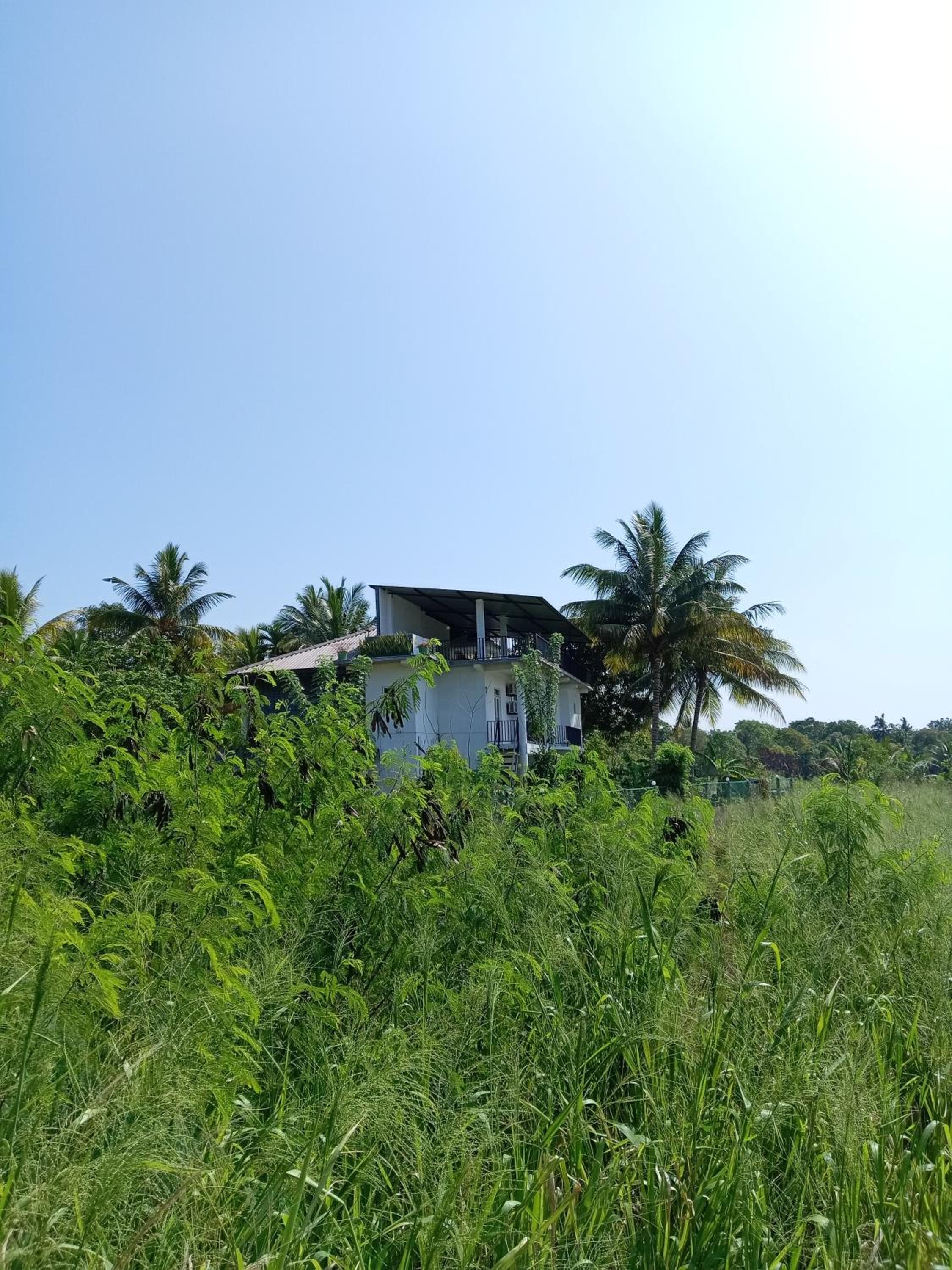 Photo 44