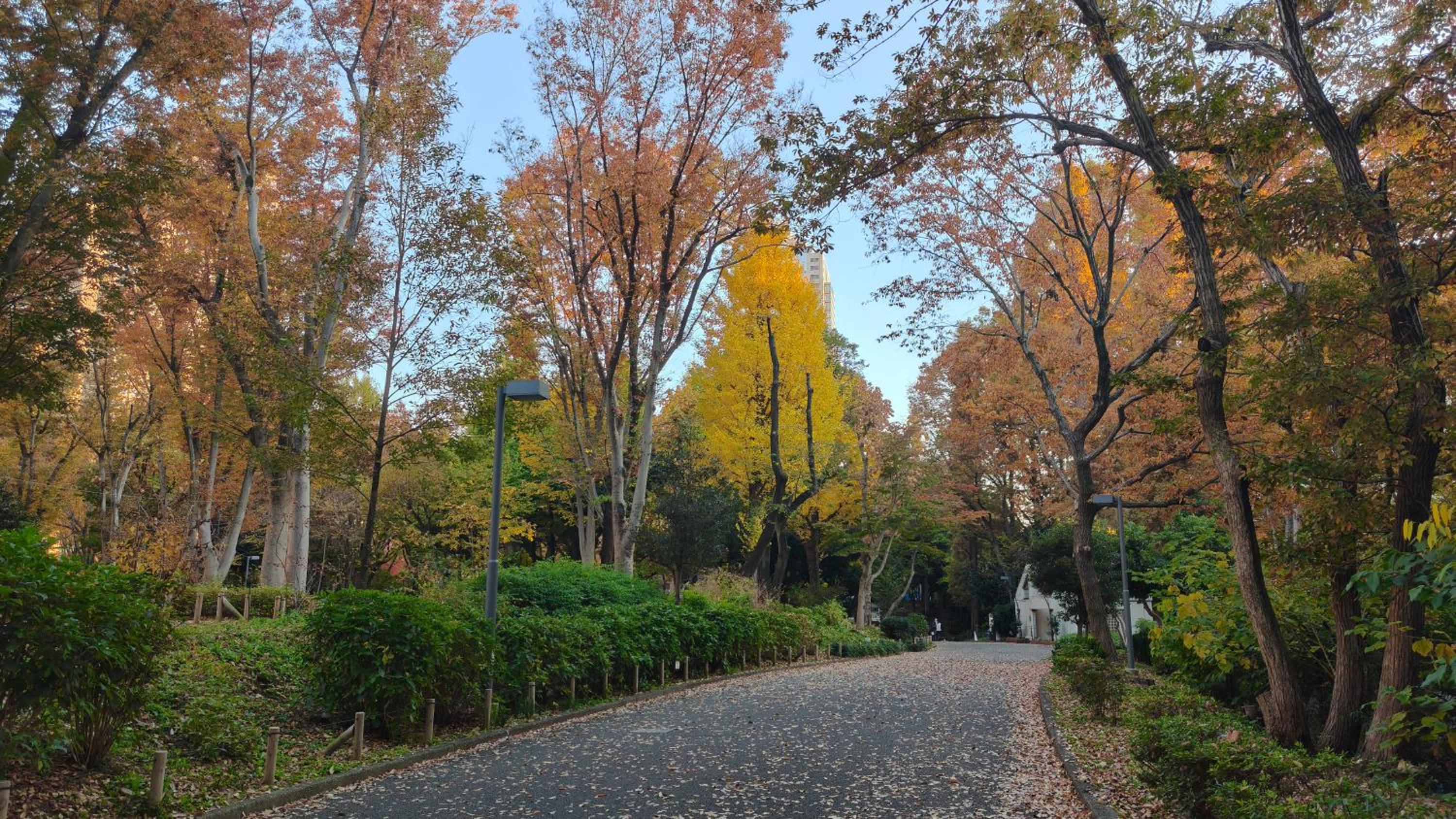 High-end Tokyo shinjuku Central Park Flat 2