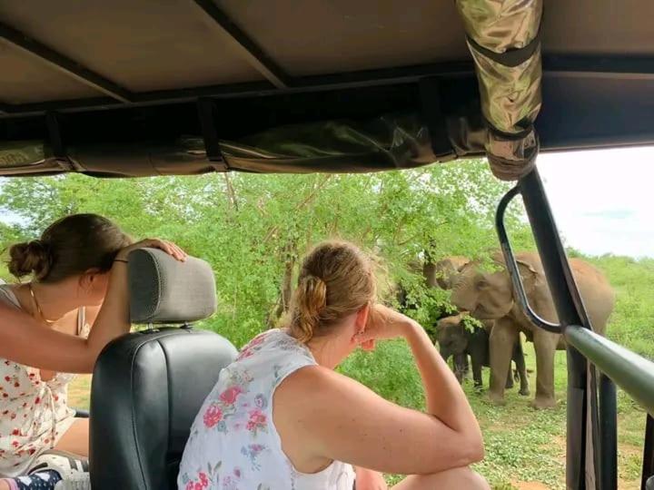 Elephant Safari Lodge