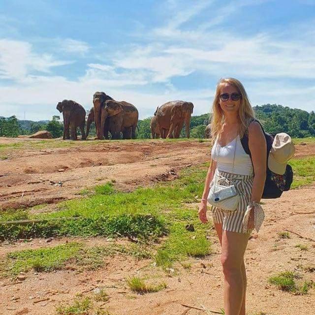 Elephant Safari Lodge