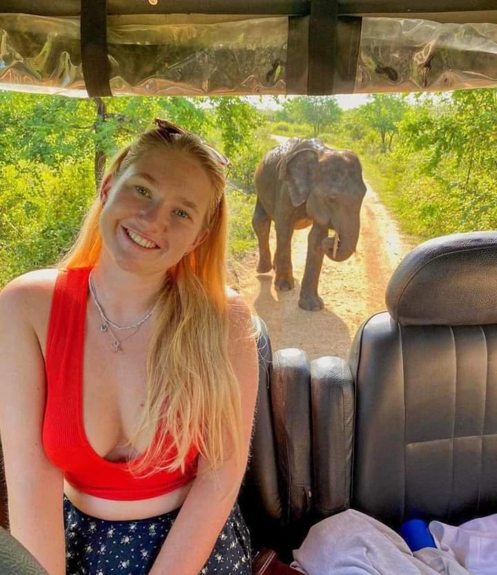 Elephant Safari Lodge