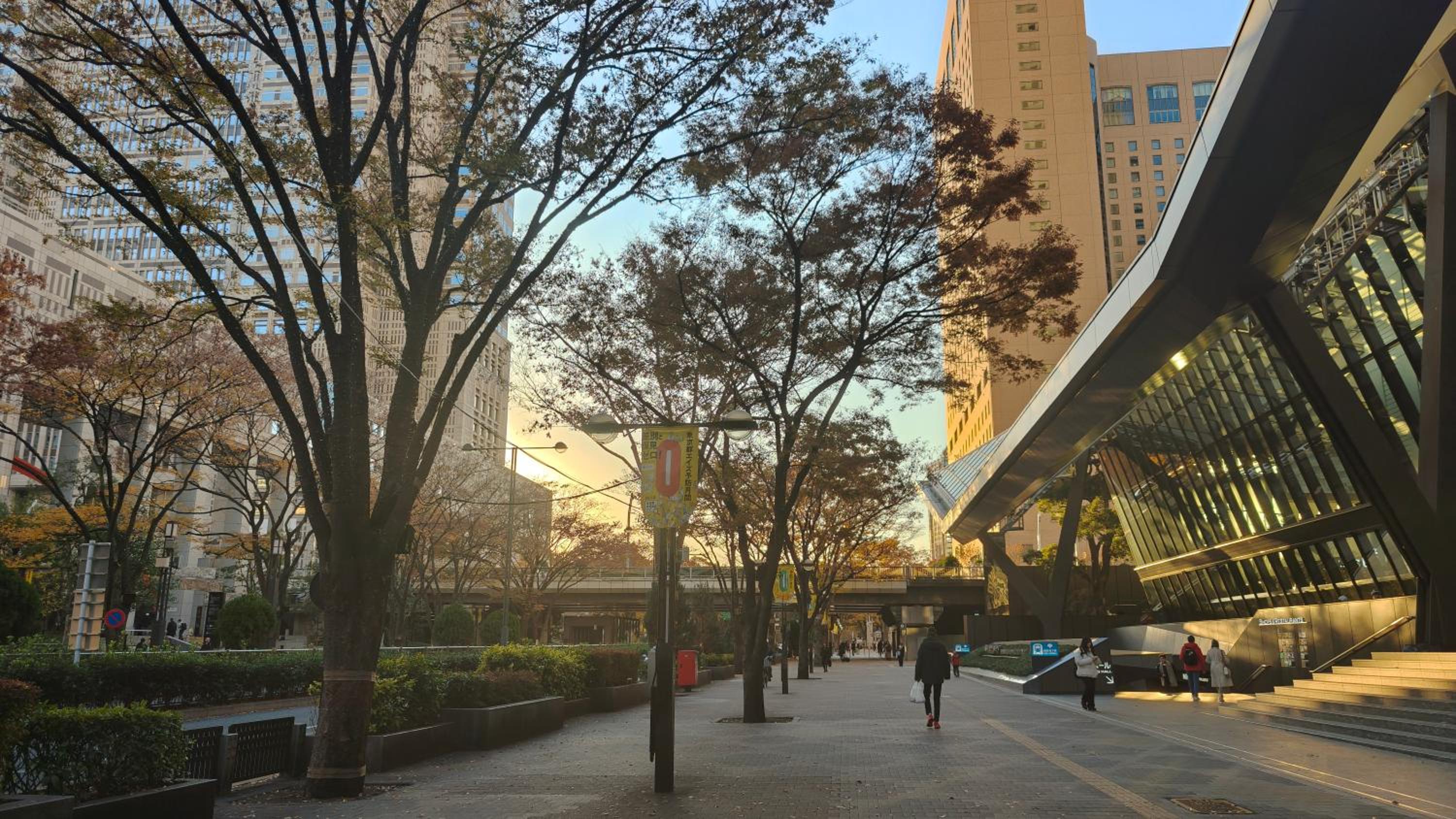 High-end Tokyo shinjuku Central Park Flat 2