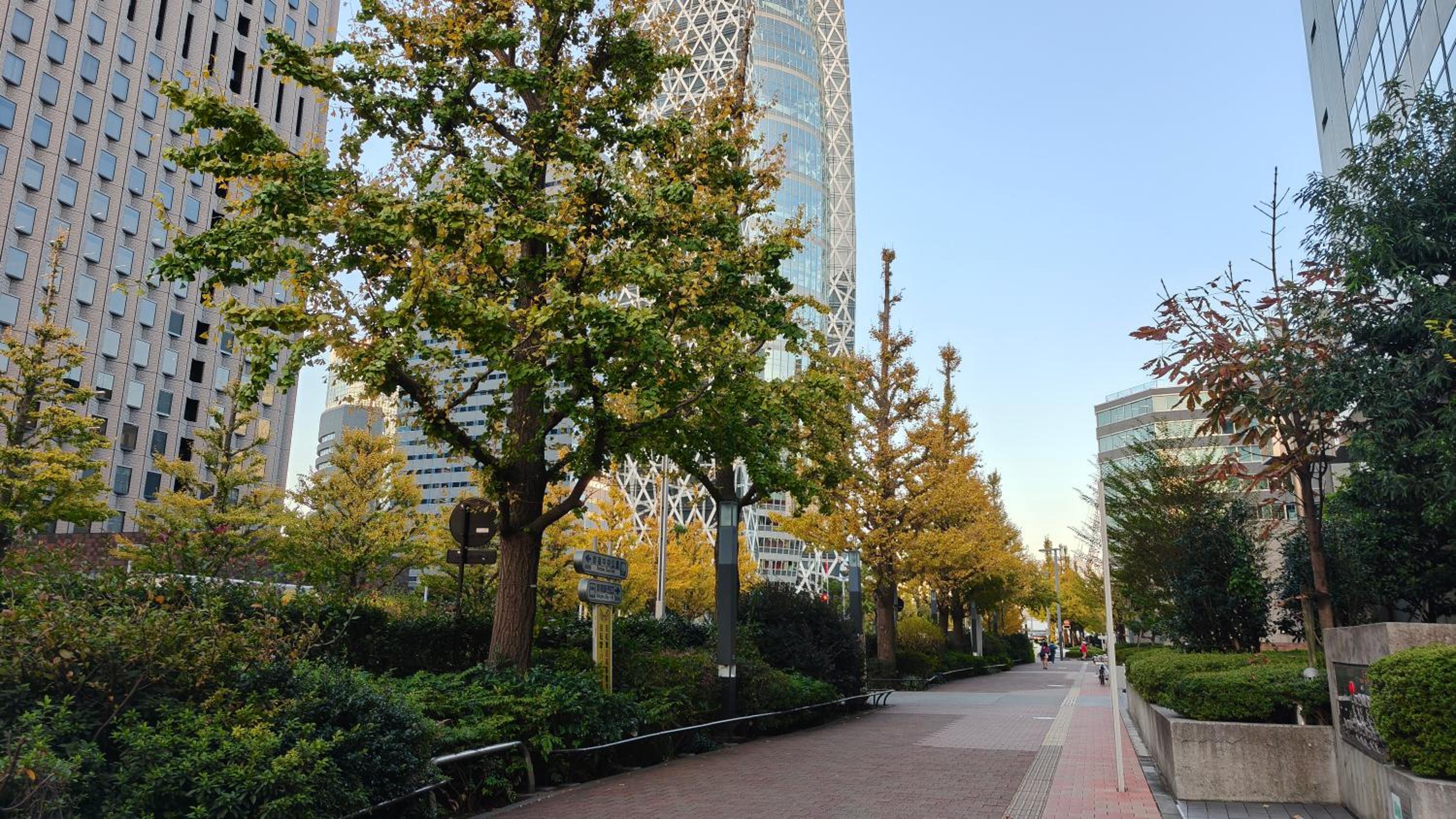 High-end Tokyo shinjuku Central Park Flat 2