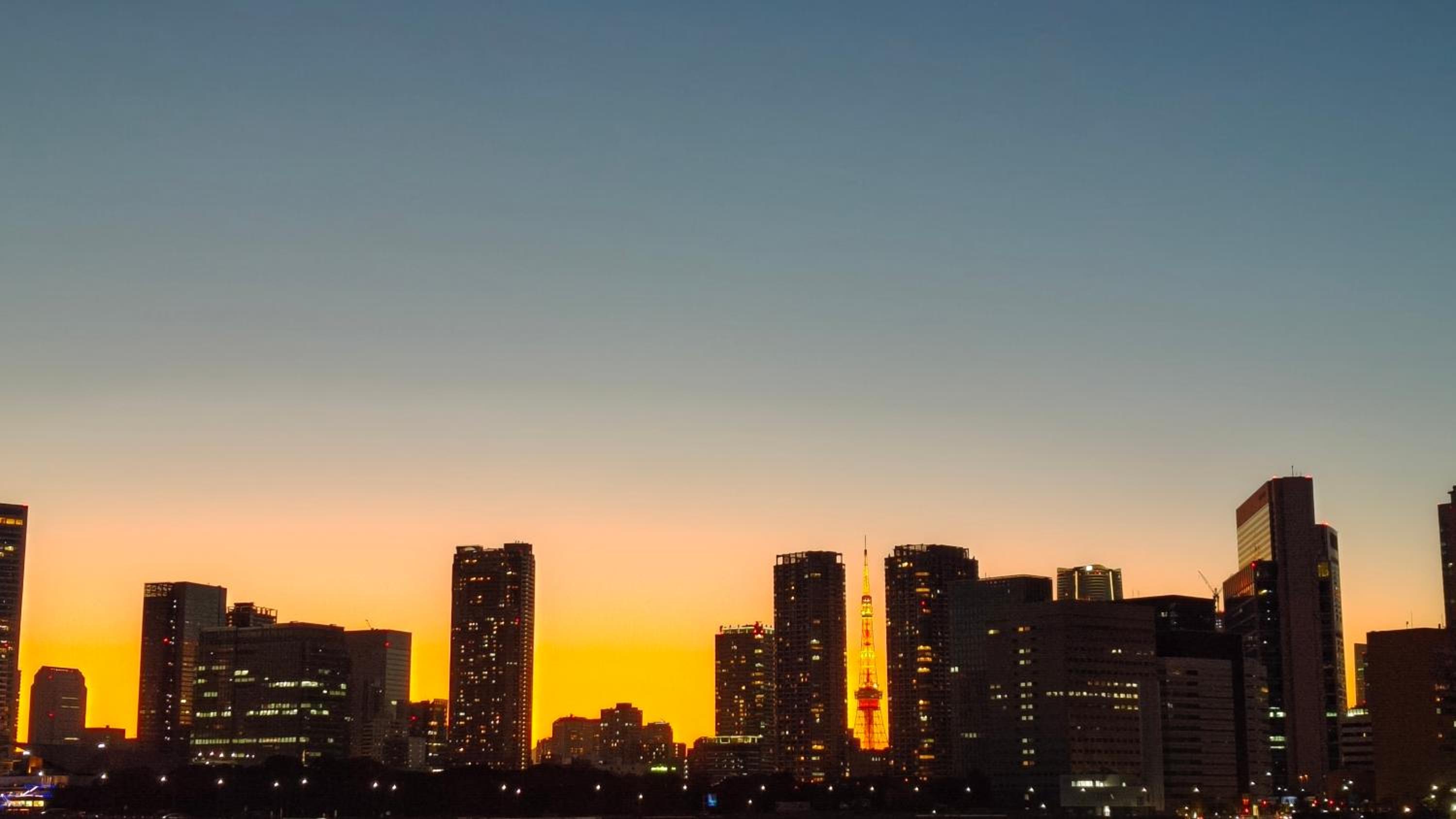 High-end Tokyo shinjuku Central Park Flat 2