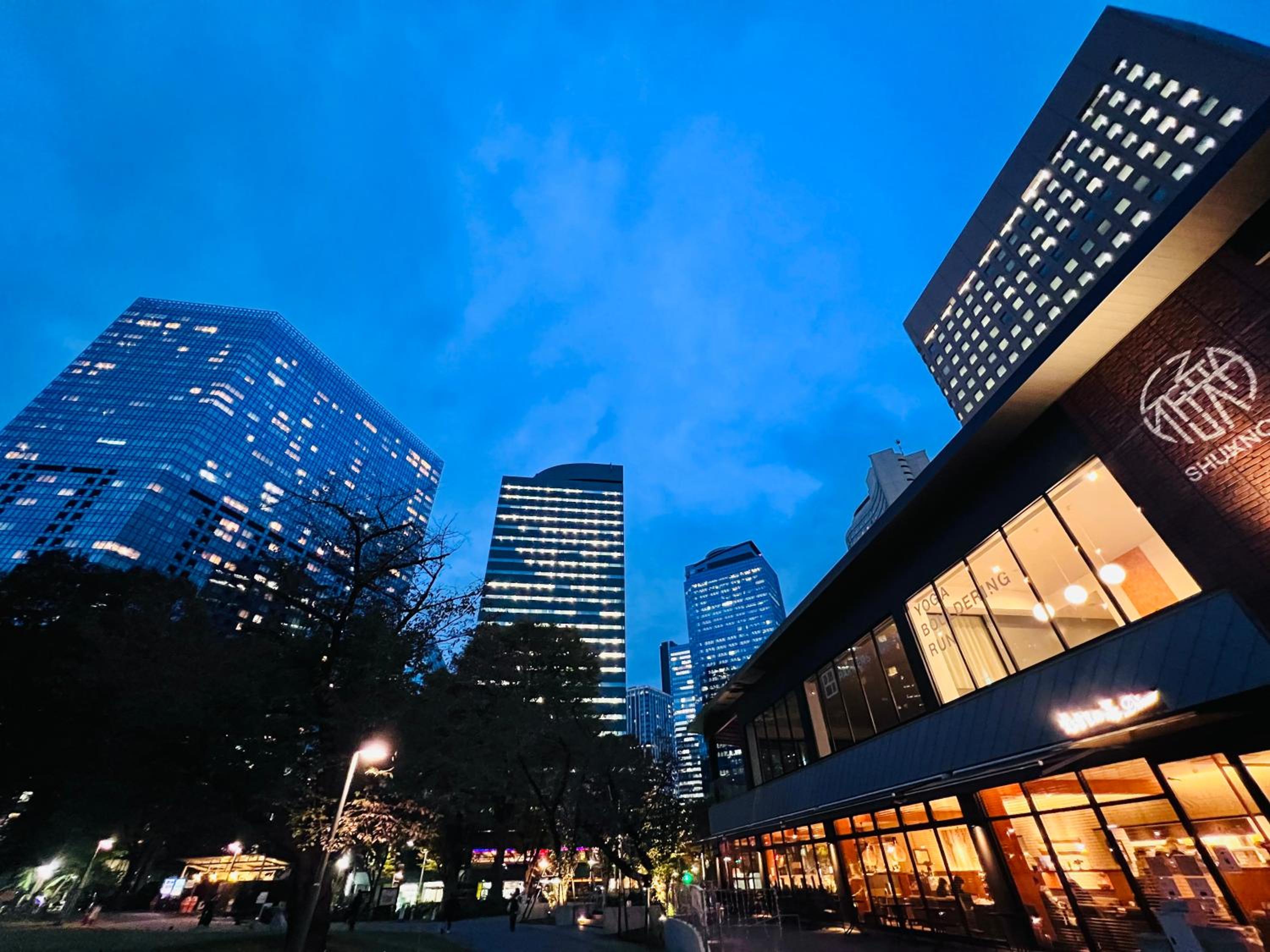 High-end Tokyo shinjuku Central Park Flat 2